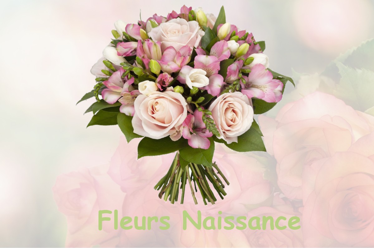 fleurs naissance SAINT-PIERRE-DE-CERNIERES